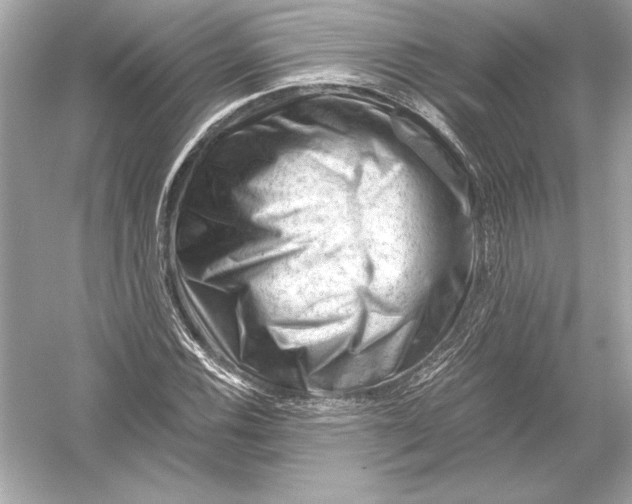 X0000051901116200507222035