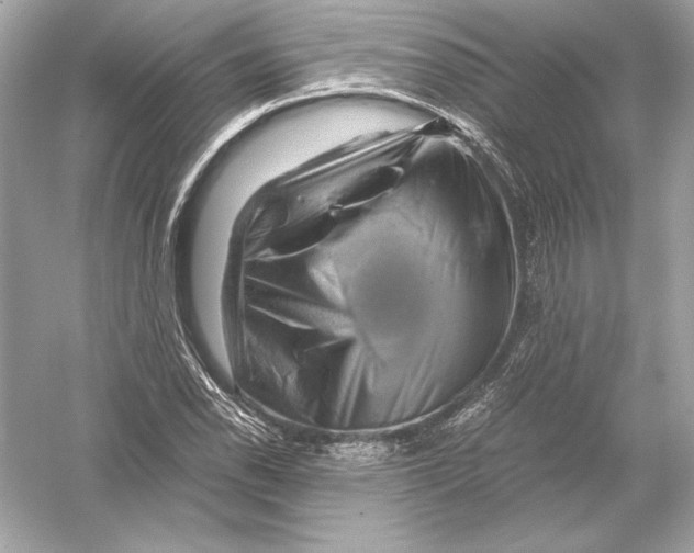 X0000051901118200507222035