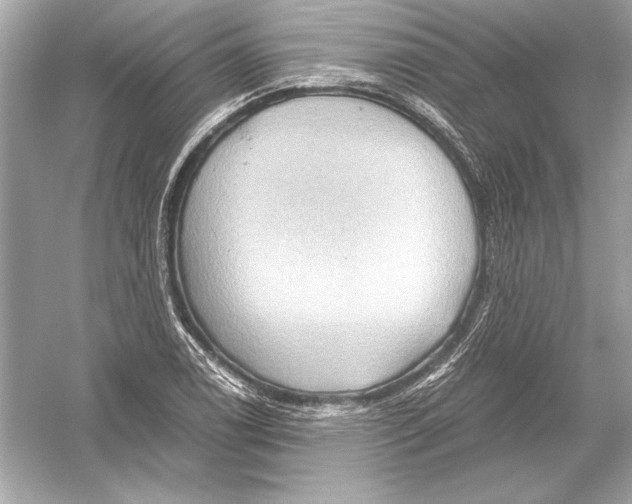 X0000051901122200507222035