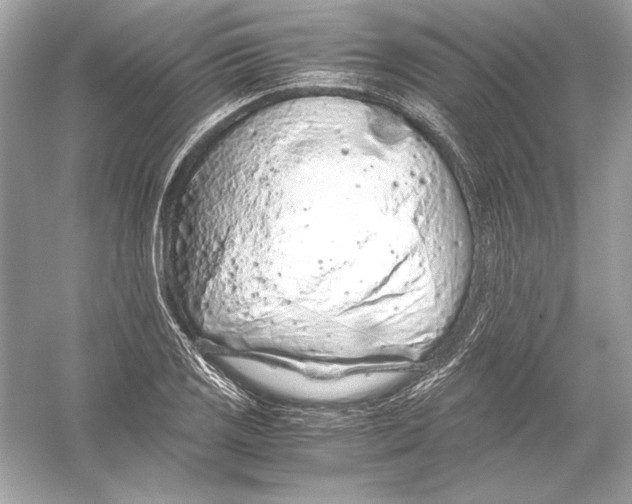 X0000051901125200507222035