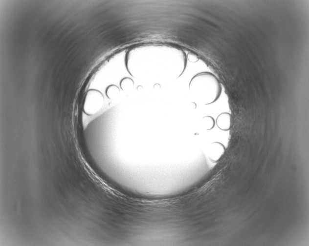 X0000051901126200507222035