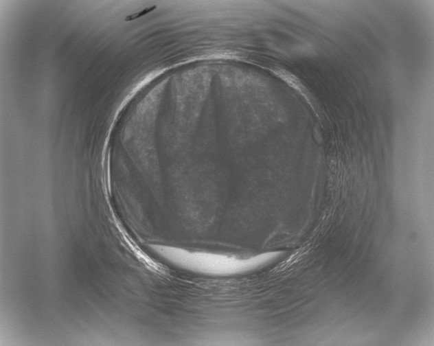 X0000051901127200507222035
