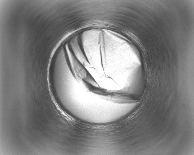 X0000051901128200507222035