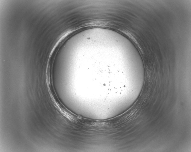 X0000051901131200507222035