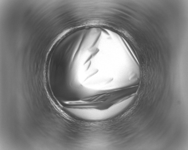 X0000051901134200507222035
