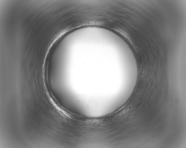 X0000051901135200507222035