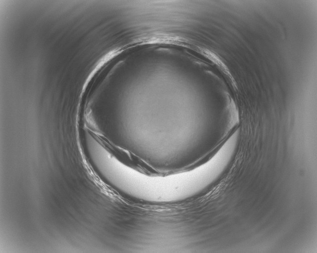 X0000051901138200507222035