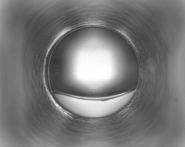X0000051901139200507222035