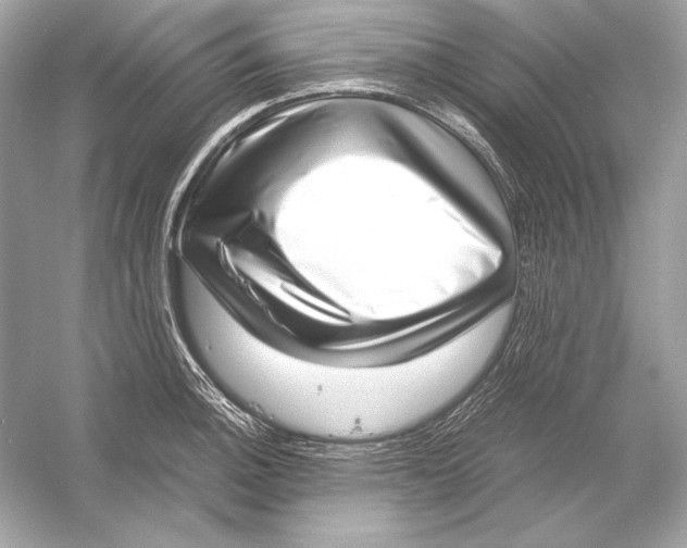 X0000051901140200507222035
