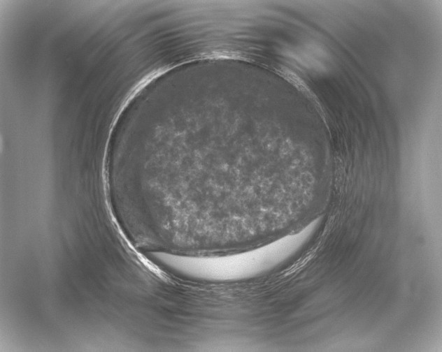 X0000051901141200507222035