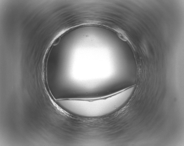 X0000051901143200507222035