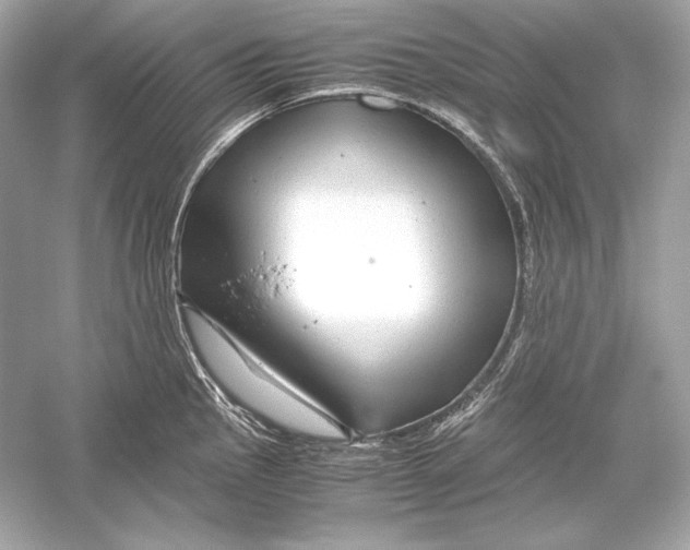 X0000051901145200507222035