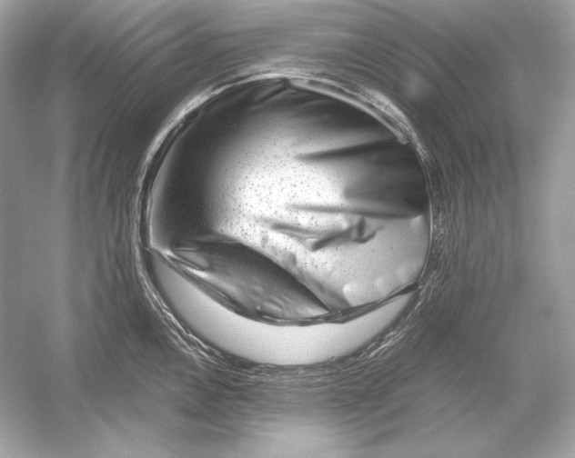 X0000051901146200507222035