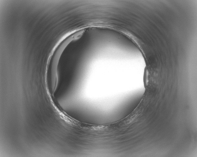 X0000051901147200507222035