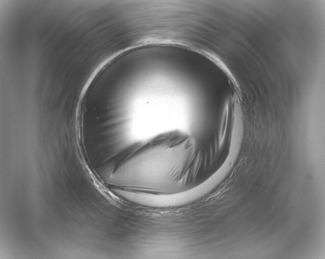 X0000051901148200507222035