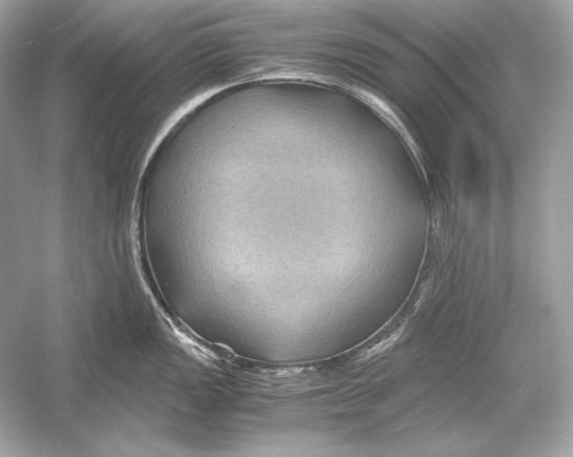 X0000051901149200507222035