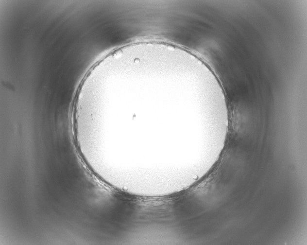 X0000051901150200507222035