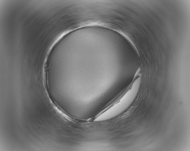 X0000051901151200507222035