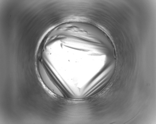 X0000051901152200507222035