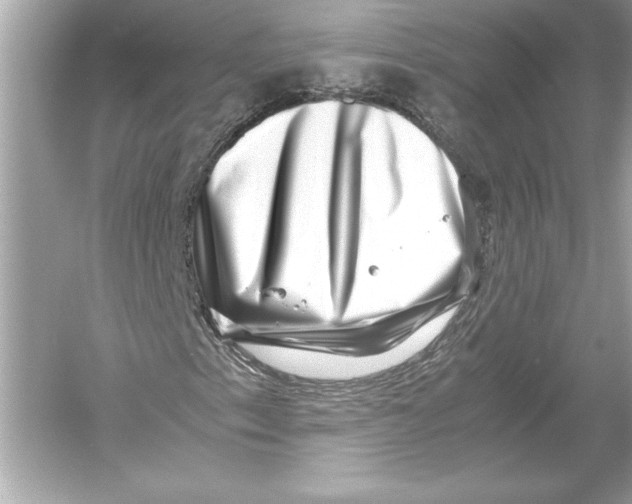 X0000051901153200507222034