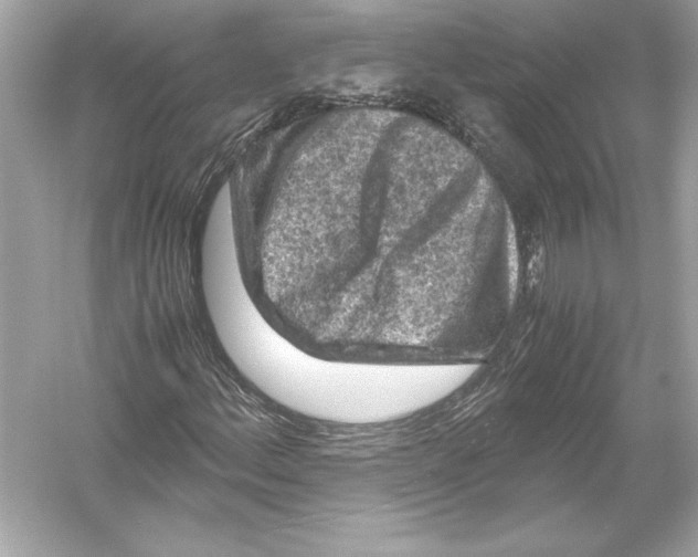 X0000051901156200507222034