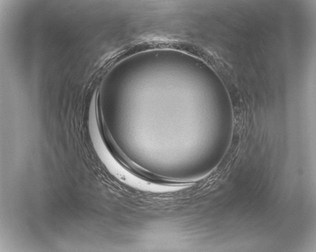 X0000051901157200507222034