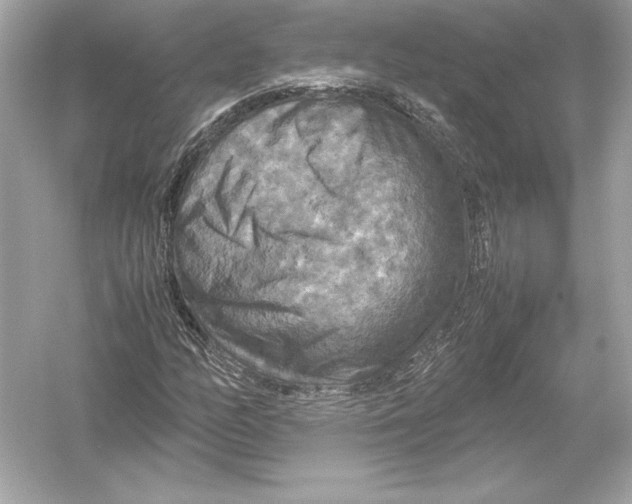 X0000051901158200507222034