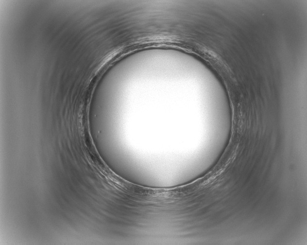 X0000051901162200507222034