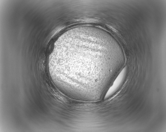 X0000051901163200507222034