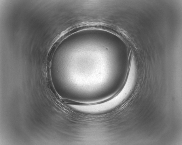 X0000051901165200507222034