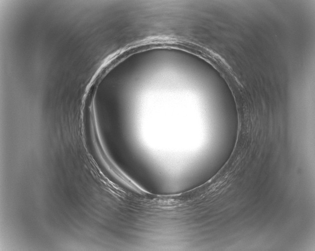 X0000051901168200507222034