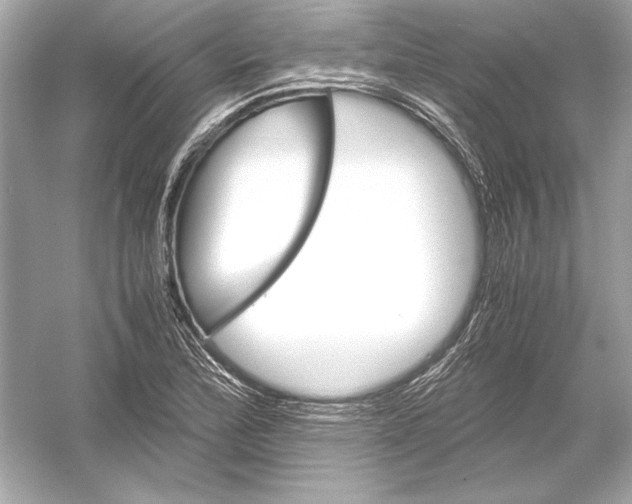 X0000051901172200507222034