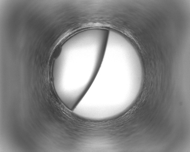 X0000051901173200507222034