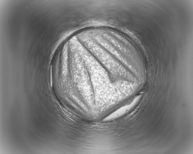 X0000051901175200507222034