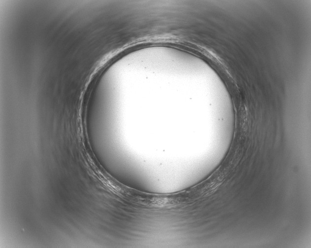 X0000051901176200507222034