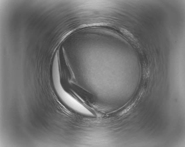 X0000051901177200507222034
