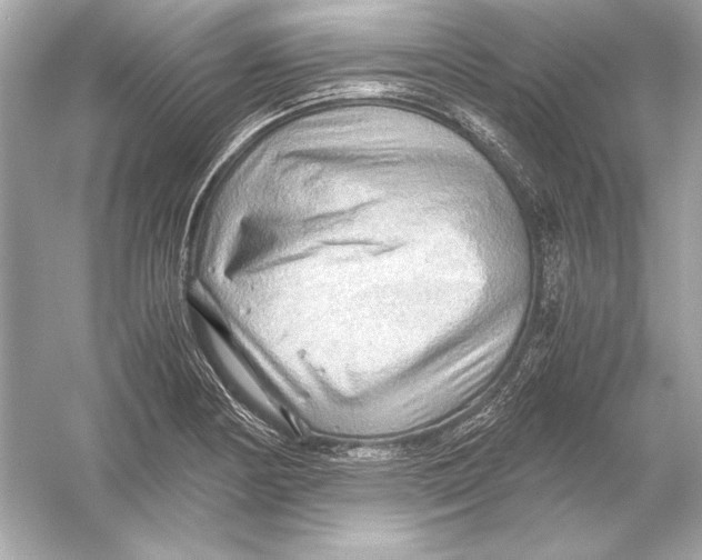 X0000051901178200507222034