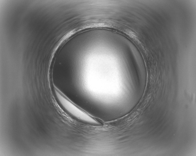X0000051901181200507222034