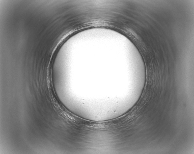X0000051901182200507222034