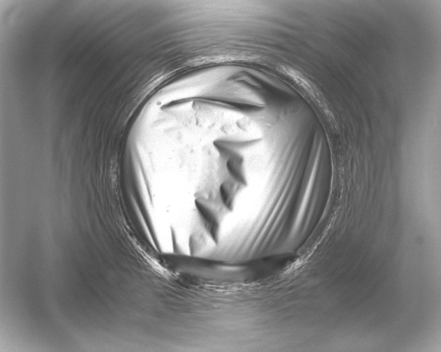 X0000051901185200507222034