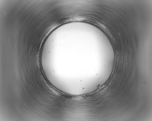 X0000051901186200507222034