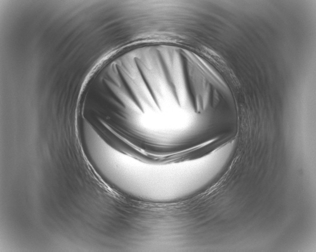 X0000051901188200507222034