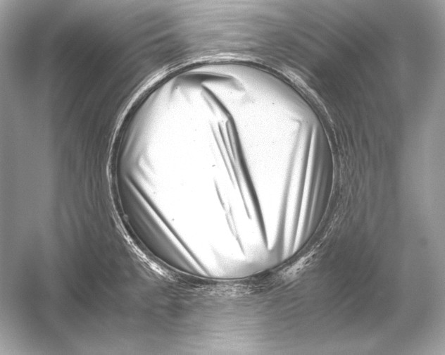 X0000051901189200507222034