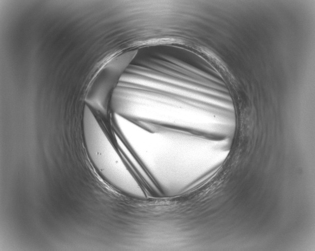 X0000051901193200507222034