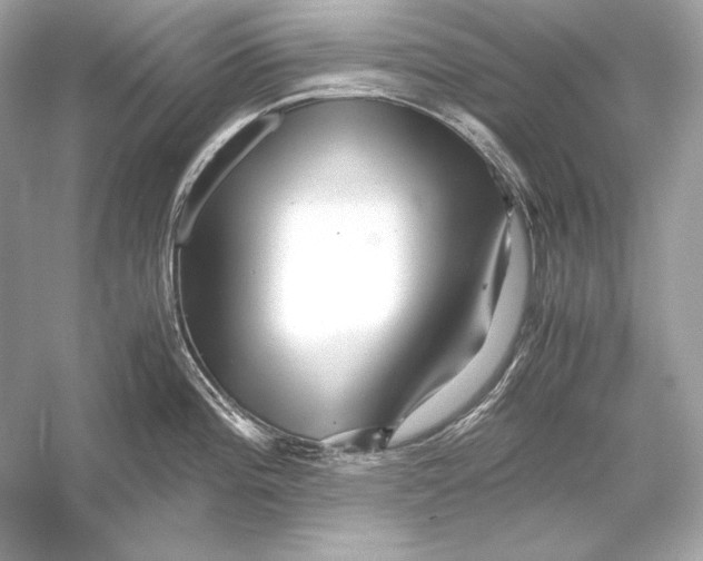 X0000051901196200507222034