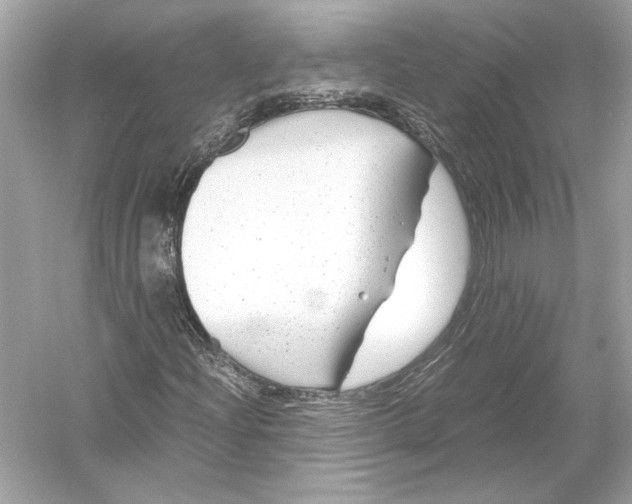 X0000051901204200507222033