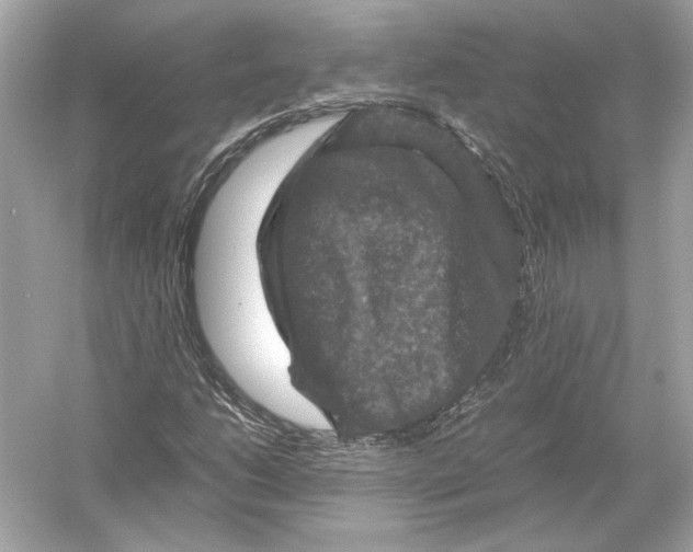 X0000051901206200507222033