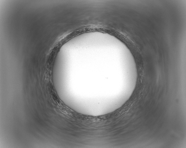 X0000051901207200507222033