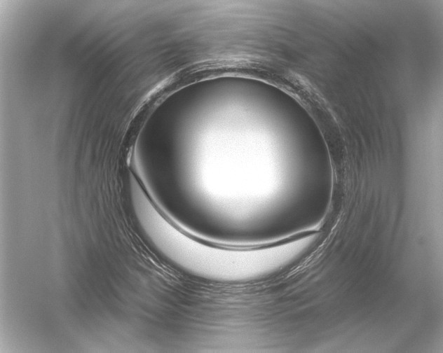 X0000051901210200507222033