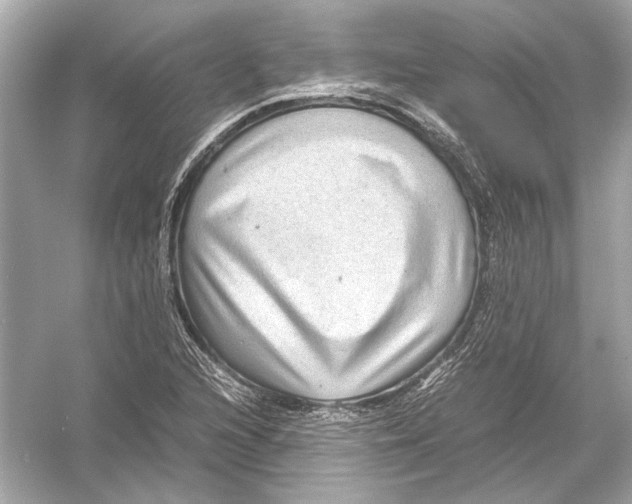 X0000051901216200507222033